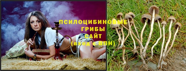 прущие грибы Белоозёрский