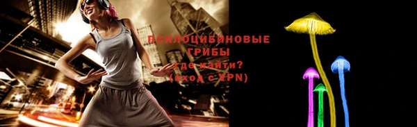 МДПВ Белокуриха