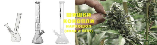 прущие грибы Белоозёрский