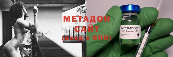 прущие грибы Белоозёрский