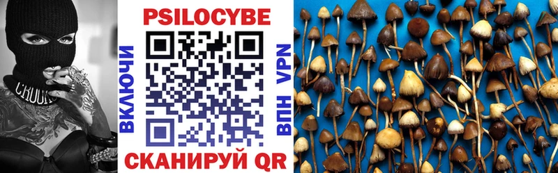 сколько стоит Бузулук Псилоцибиновые грибы мухоморы
