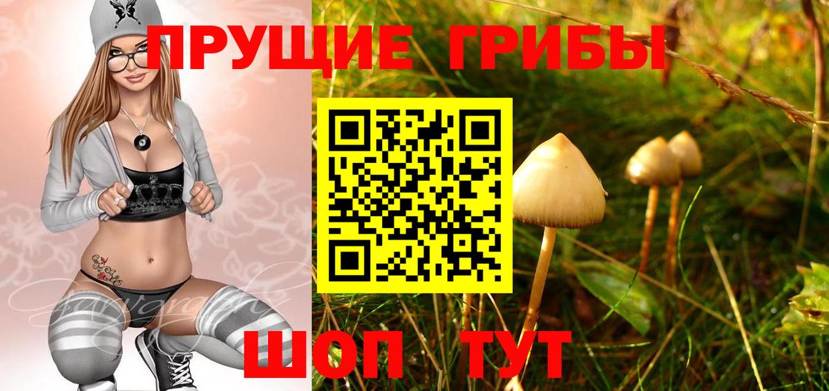 Галлюциногенные грибы ЛСД  Вход с VPN  Бузулук 